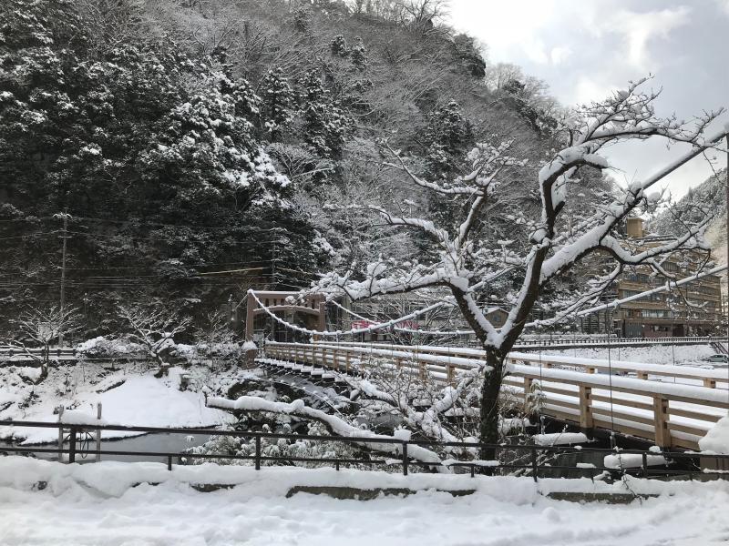 冬の吊り橋